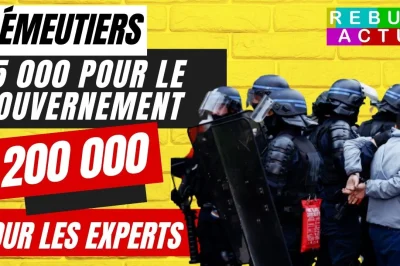 L&rsquo;immigration de peuplement massive responsable des insurrections en France